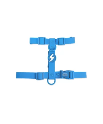 Dashi back harness Colorflex Blue